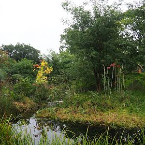 Ring-tailed lemur and Black lemur island, 2023-10-07