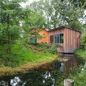 Ring-tailed lemur and Black lemur island, 2023-10-07