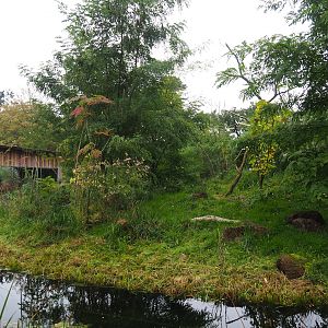 Ring-tailed lemur and Black lemur island, 2023-10-07