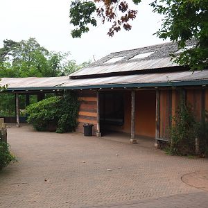 Ring-tailed lemur and Black lemur house and viewing areas, 2023-10-07