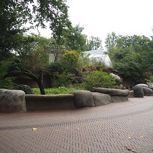 Meerkat exhibit, 2023-10-07