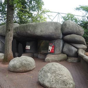 Meerkat house, 2023-10-07