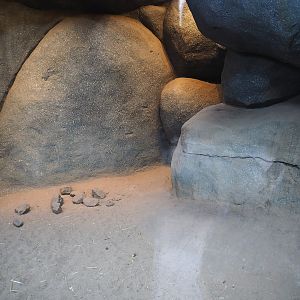Meerkat indoor housing, 2023-10-07