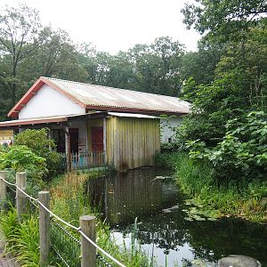 Peruvian squirrel monkey and South American coati house and viewing area, 2023-10-07