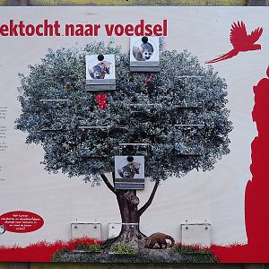 Foraging in the rainforest signage, 2023-10-07