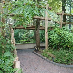 Sri Lankan leopard viewing area, 2023-10-07