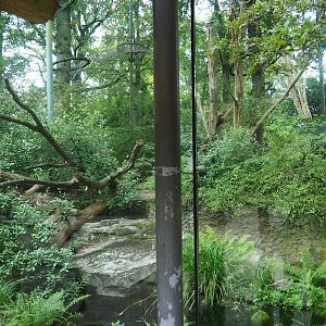 Main Sri Lankan leopard exhibit, 2023-10-07