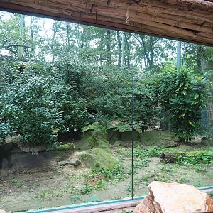 Second Sri Lankan leopard exhibit (Former golden jackal exhibit), 2023-10-07