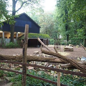 Hog deer paddock, 2023-10-07