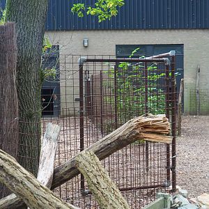 Hog deer separation paddock, 2023-10-07
