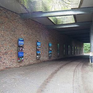 Partially covered walkway with history signage, 2023-10-07