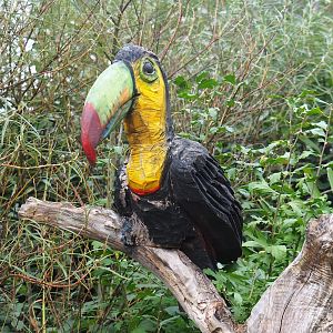 Keel-billed toucan wood carving, 2023-10-07