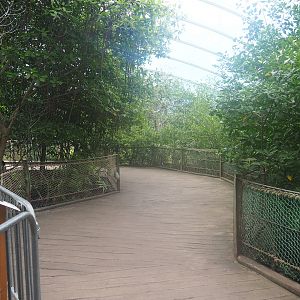 Walkway in the Mangrove ecodisplay, 2023-10-07