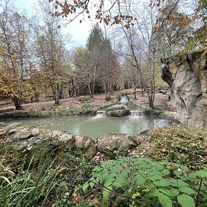 African Painted Dog Exhibit (2nd View)