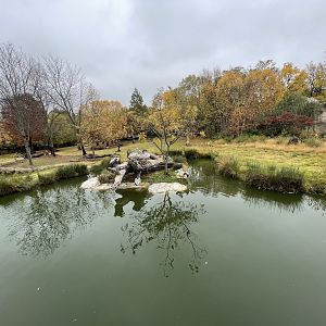 Africa! Savannah Exhibit