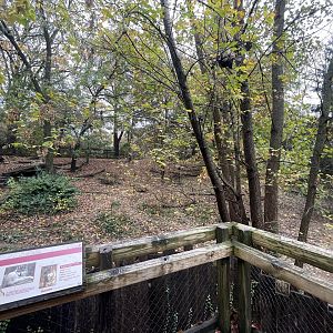Mexican Grey Wolves Exhibit