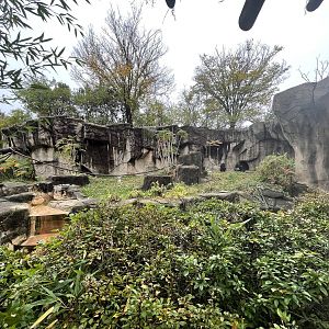Gorilla World Outdoor Exhibit