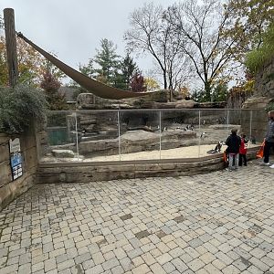 African Penguin Point