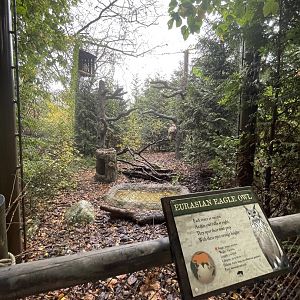 Eurasian Eagle Owl Habitat