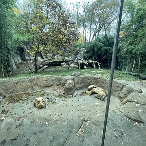 Malayan Tiger Habitat