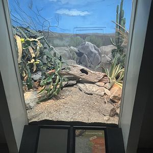 Gila Monster Enclosure (no show)