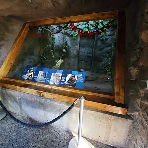 New Vampire Bat Exhibit - October 2023