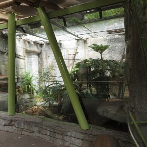 Mangshan Pitviper Exhibit