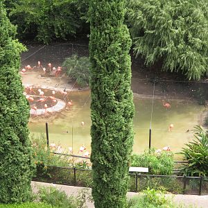 Hilltop View of Marsh Habitat