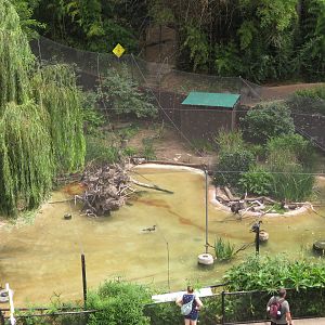 Hilltop View of Marsh Habitat