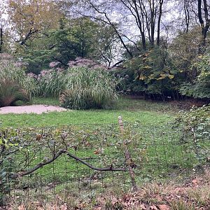 African Plains - Rhim Gazelle Exhibit