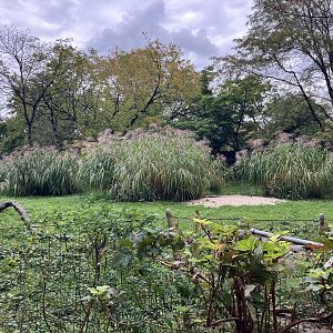 African Plains - Rhim Gazelle Exhibit