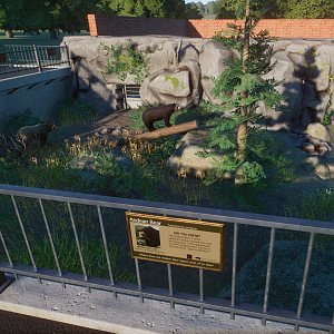 Historical Bear Exhibit - Andean Bear