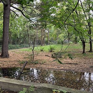 African Plains - Spotted Hyena Exhibit