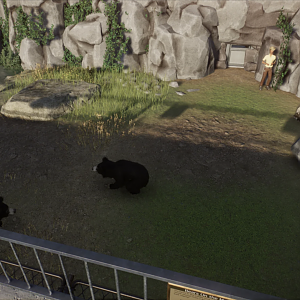 Historical Bear Exhibit - Sloth Bear