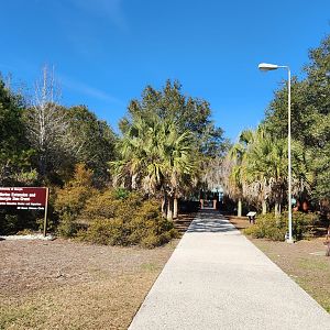 UGA Marine Center & Aquarium - Entrance path