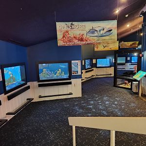 UGA Marine Center & Aquarium - Live exhibit area