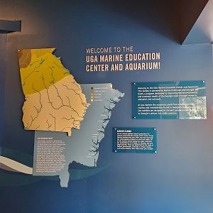 UGA Marine Center & Aquarium - The Georgia Coast (info)