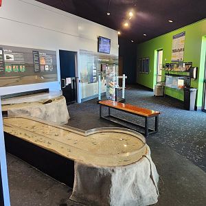 UGA Marine Center & Aquarium - Touch tanks area