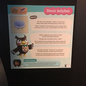 Moon Jellyfish Signage - Animal Crossing