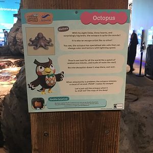 Octopus Signage - Animal Crossing