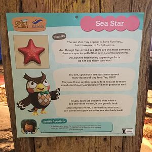 Sea Star Signage - Animal Crossing