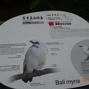 The sign of Bali Myna (Leucopsar rothschildi)