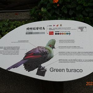 The sign of Green Turaco (Tauraco persa buffoni)