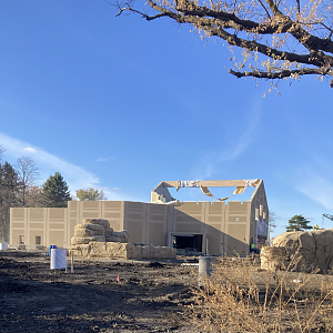 Lion Construction - Oct. 2023