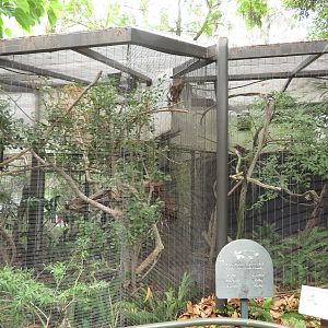 Connected Bird-of-Paradise Enclosures
