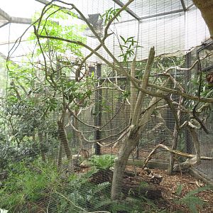 Example Bird-of-Paradise Enclosure
