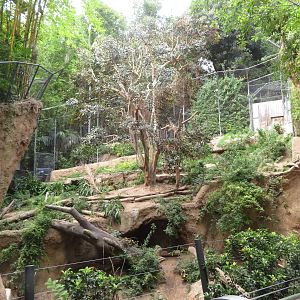 Tiger Exhibit