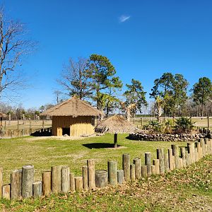Eudora Wildlife Safari Park - Sulcata Tortoise yard