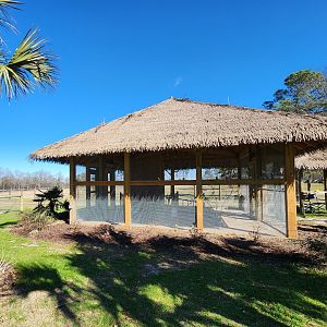 Eudora Wildlife Safari Park - Budgie aviary