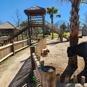 Eudora Wildlife Safari Park - Petting zoo pathway